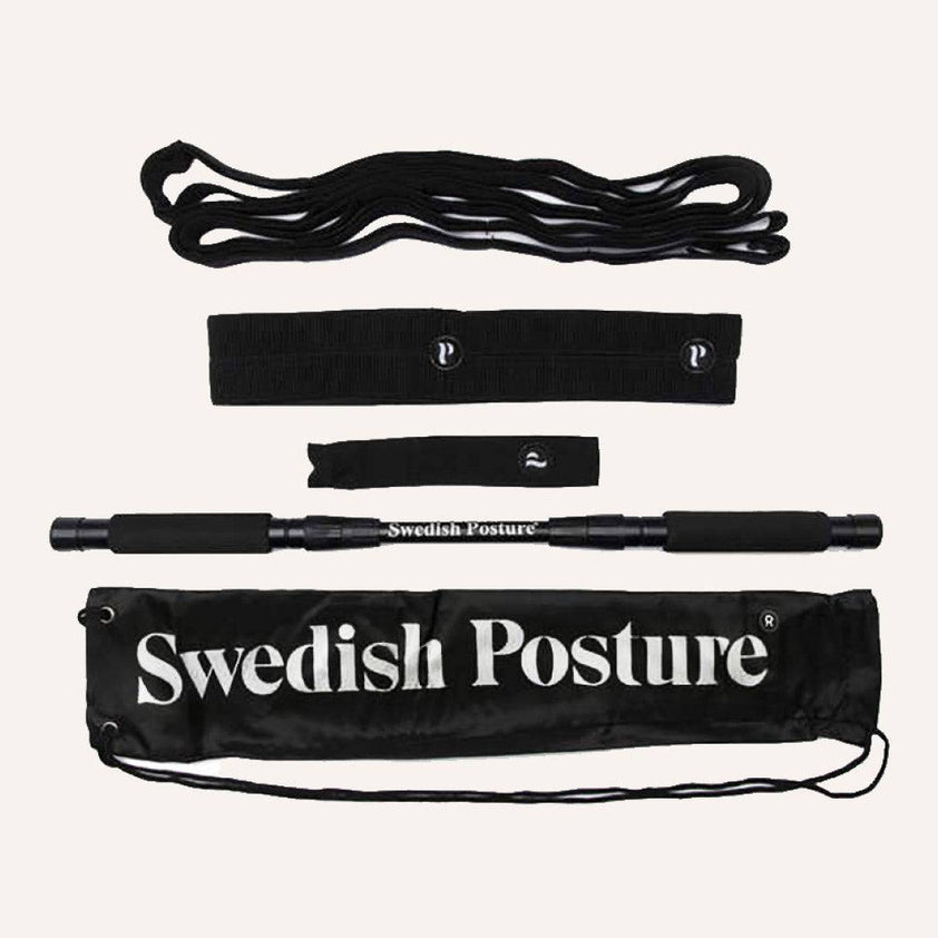 Swedish Posture Mini Gym Full Body Workout Kit – ActiveLifeUSA.com
